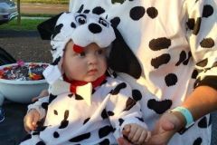 trunk-or-treat-2022-cows-2