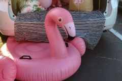 trunk-or-treat-2022-trunk-flamingo-2
